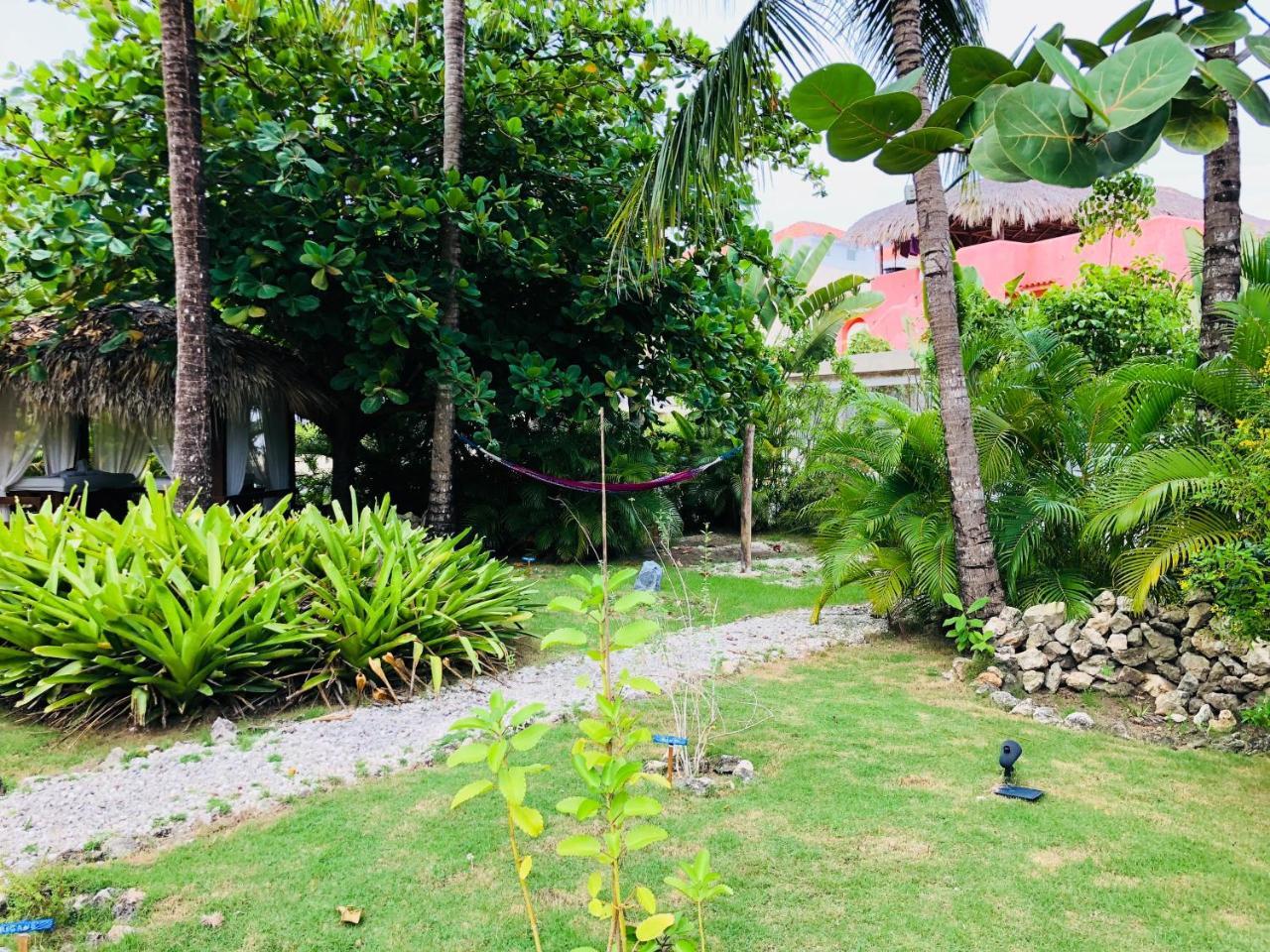 Las Terrazas Deluxe Pool Beach Club & Spa Punta Cana Dış mekan fotoğraf