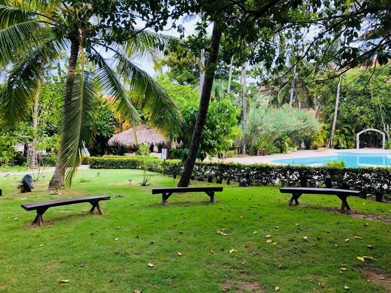 Las Terrazas Deluxe Pool Beach Club & Spa Punta Cana Dış mekan fotoğraf